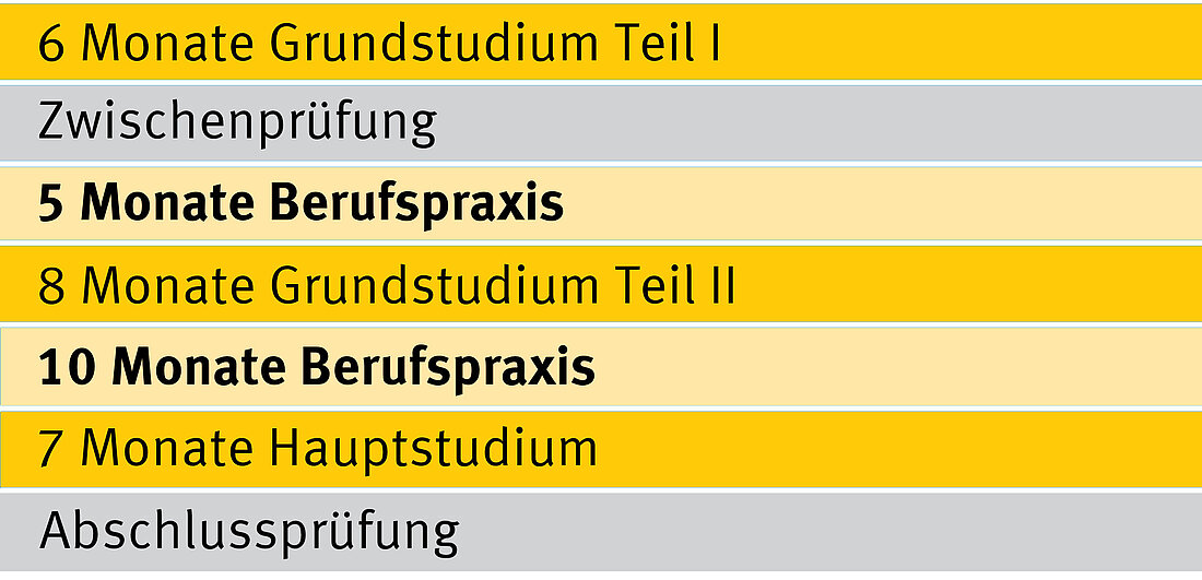Ablauf des Studiums Theorie und Praxis