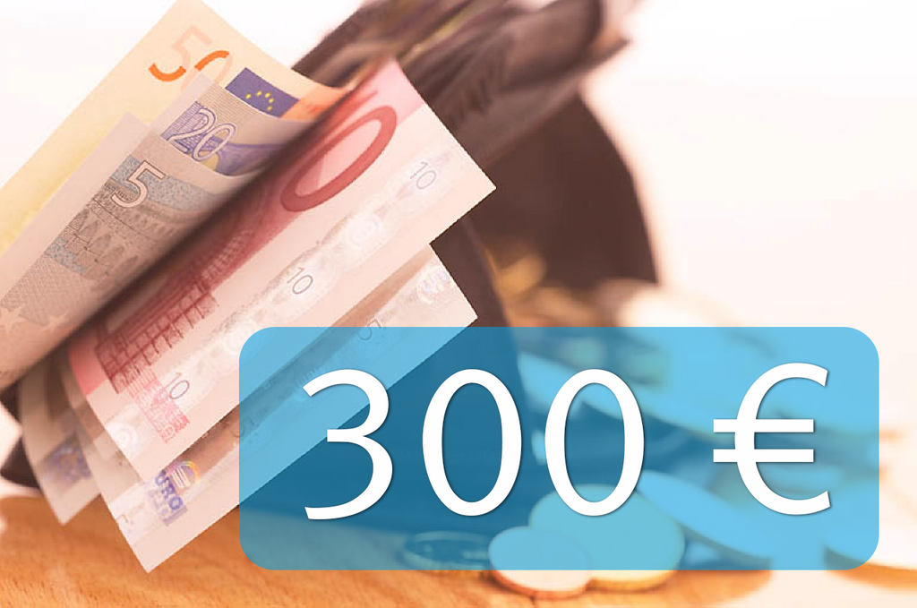 geöffnetes Portemonaie, im Vordergrund der Schriftzug 300 € geöffnetes Portemonaie, im Vordergrund der Schriftzug 300 €
